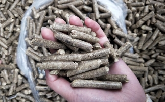鋸末顆粒機(jī)木屑顆粒燃料市場(chǎng)前景如何？