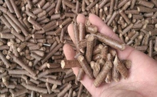鋸末顆粒機(jī)生物質(zhì)燃料與燃煤對(duì)比情況如何？