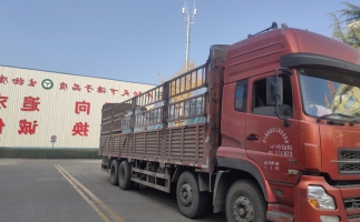忙碌的五月，忙碌的發(fā)貨，金格瑞顆粒機生產(chǎn)線發(fā)往全國各地