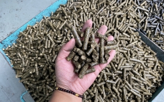 木屑顆粒機(jī)廠家告訴你生物質(zhì)顆粒燃料燃燒不充分的問題，該如何解決?
