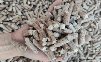 木材加工廠木屑堆積如山，環(huán)保部門令趕緊處理怎么辦？有它就夠了