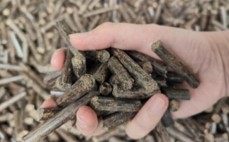 木屑燃料顆粒熱值多少大卡，完全取決于燃料的原料